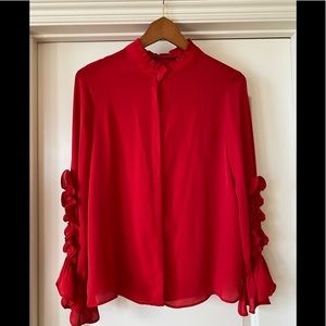 Zara Basic Button front long sleeve blouse